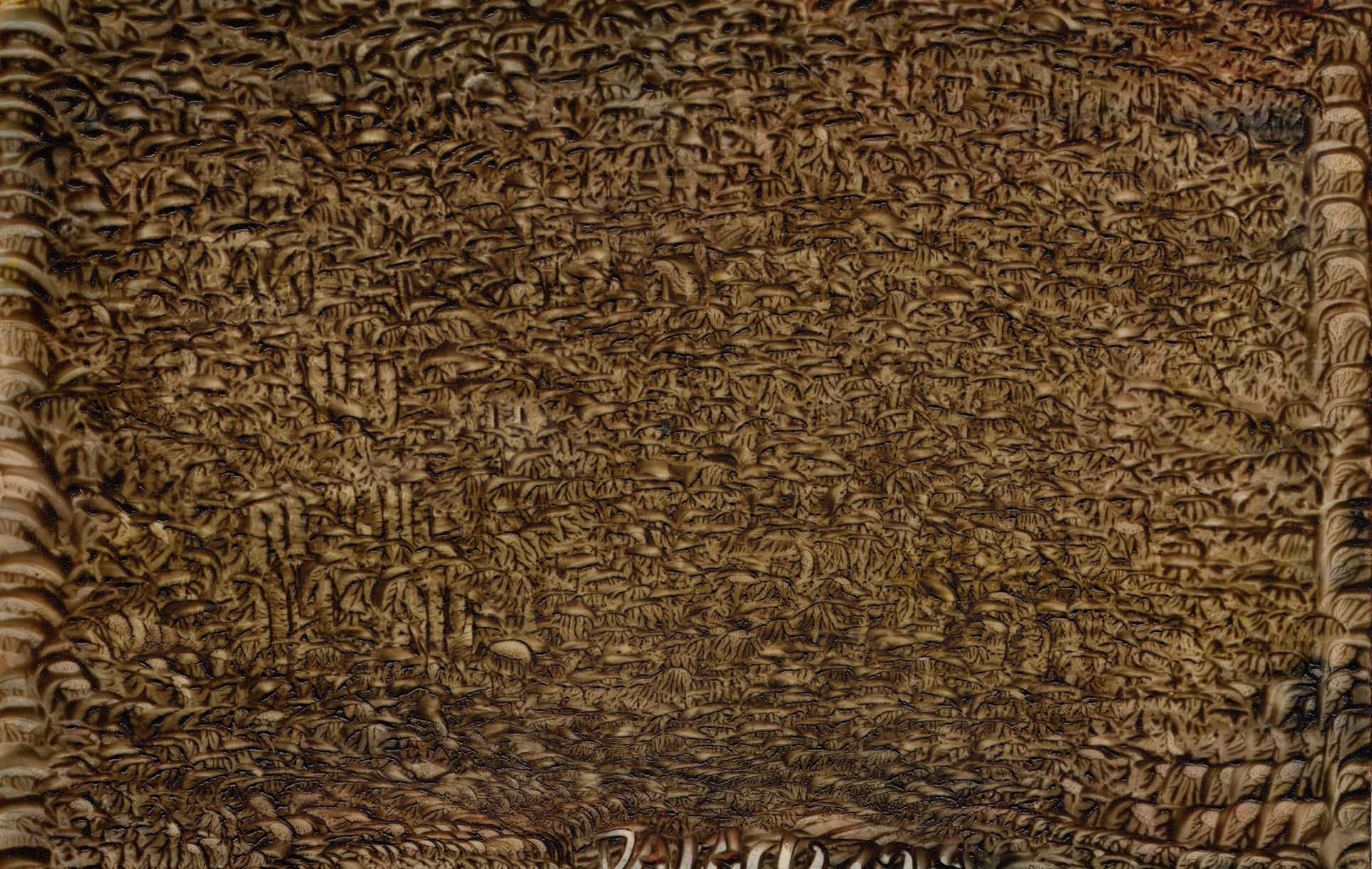 Art Gallery Austin TX Paintings For Sale
